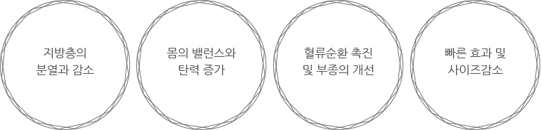 스키니톡스 효과