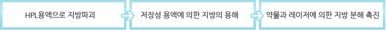 HPL 주사요법의 원리