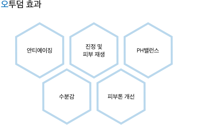 오투덤