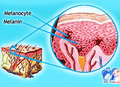 글루타치온(Glutathione)이란 무엇인가요?