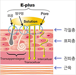 스킨플러스 원리