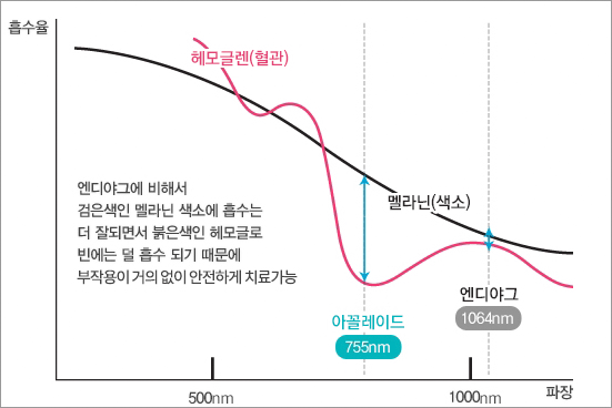 아꼴레이드 흡수율 그래프