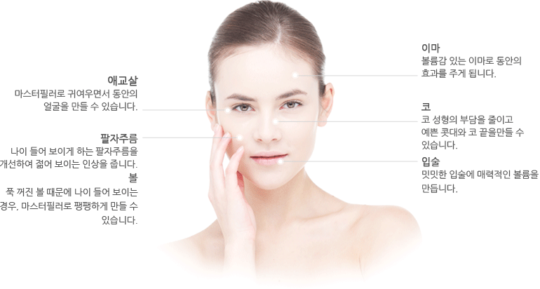 마스터필러 적용부위